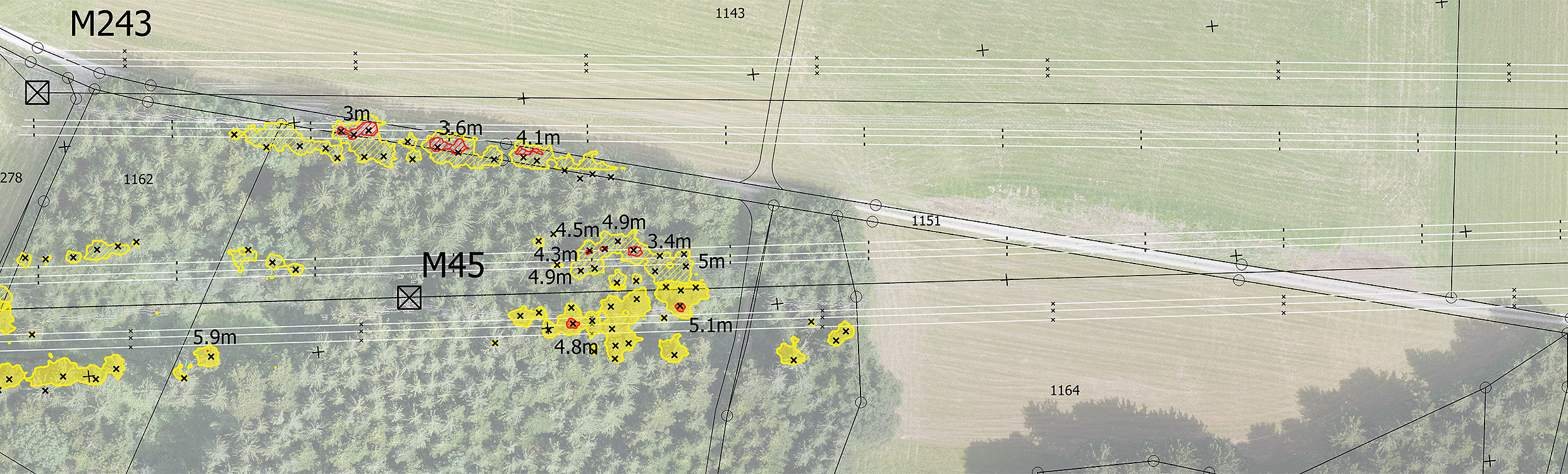 vegetationsmanagement von Alpiq